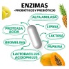 Enzimas Digestivas Probióticos Y Prebióticos Vegano Beyond Vitamins Sin Sabor
