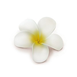 Plumeria Hair Clip Foam Flower White With Yellow