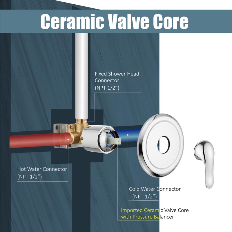 Aolemi Shower System Dual 2-in-1 Rain Shower Faucet Set 8-Setting