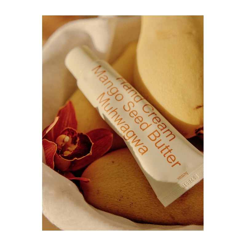 Perfume Silky Touch Hand Cream 50ml Gift Set / 퍼퓸