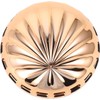 Dispositivo Borrador de Cabello SEWACC 111331PX3S en Forma de Concha