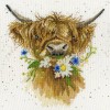 Bothy Threads Daisy Coo XHD42 Bothy Threads Counted Cross Stitch