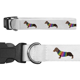 Small 'Dachshund In Rainbow Coat' Dog Collar (PR00023163)