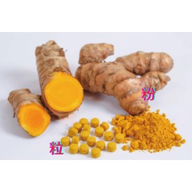 Spring Mesh. Powder G Set of 3 