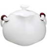 Yilong Teapot 6.1 fl oz (180 ml) for Chinese Tea