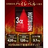 ホットバーン ガルシニア 420mg ブラックジンジャー 120mg エラグ酸 3.1mg ダイエットサプリ HOTBURN 180錠