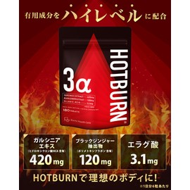 ホットバーン ガルシニア 420mg ブラックジンジャー 120mg エラグ酸 3.1mg ダイエットサプリ HOTBURN 180錠 30日分