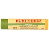 Burts Bees - Bálsamo labial hidratante de cáñamo de Burts