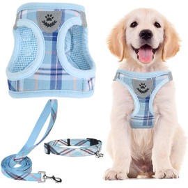 PUPTECK Adjustable Dog Harness Collar and Leash Set Step in No Pull Pet Harness for Small Medium Dogs Puppy and Cats Outdoor Walking Running, Soft Mesh Padded Reflective Vest Harnesses, Blue M