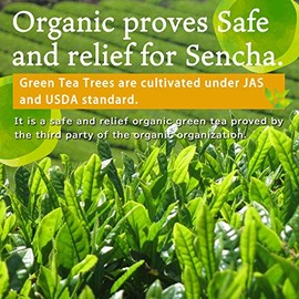 Yamasan Kyoto Uji Organic Sencha Green Tea Powder - 2.82oz