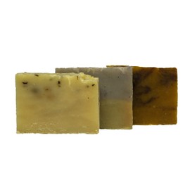 Soap Kit: Lavender Evergreen, Eucalyptus Tea Tree & Burnt Orange