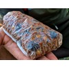 Tandem Baits SuperFeed Speed Booster Fruit Beast Carp Carp Fishing