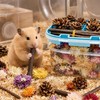 XXYOUPIN Natural Pet Nest Decorations for Small Pets, Hamster &