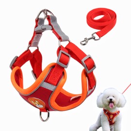 TUMYES Arnés para Perros, Arnés para Perro con Correa de 1.5m para Perros y Gatos Pequeños, Medianos, Ajustable, Anti Tirones, Diseño Reflectante de  