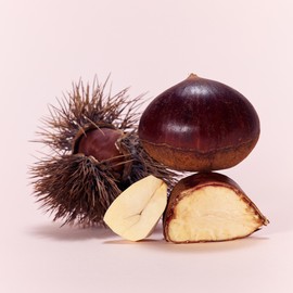 Osulloc [오설록]마롱 크림 블랙티 20입 (원산지:상세설명참조) [Osulloc] Marong Cream Black Tea 20 Bags (Origin: See detailed description)