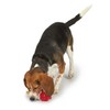PUREPET Rocket POP Freezable Water Toys for Dogs Keep Your