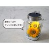nkline Super Clean Storage Silica Gel for Dried Flowers