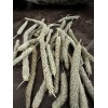 aroura Timothy Hay Heads, Tips, Great Treat For your Small