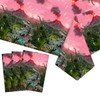 WISSLERMER 3 Pcs Dinosaur Tablecloth Dinosaur Party Table Covers Plastic