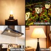 G4 Bulb, 20 Pack Halogen G4 12V 10W with G4