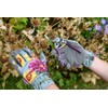 Burgon & Ball RHS Gift Pruner and Holster Set Asteraceae