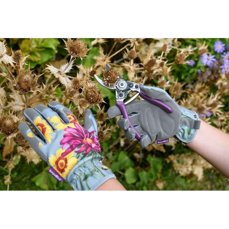 Burgon & Ball RHS Gift Pruner and Holster Set Asteraceae