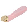 Facial Beauty Massager Hot Compress Vibration EMS Microcurrent Skin Tightening