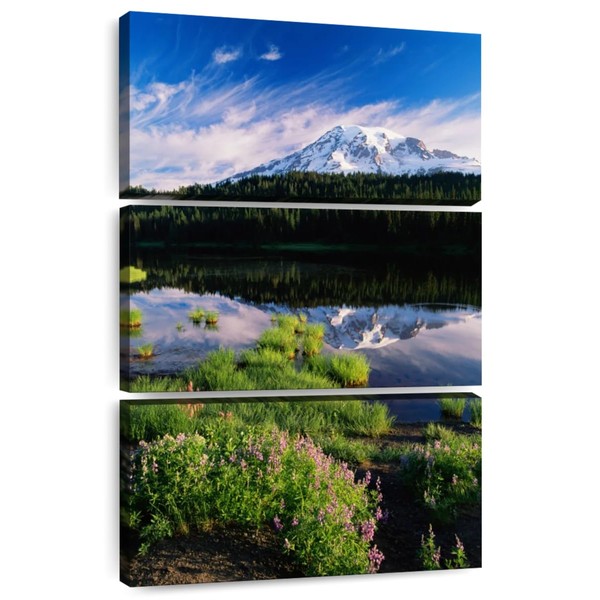 ElephantStock - Mt. Rainier Spring Meadows Wall Art - Vertical