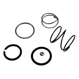 Tolxh #N089668 Spring Steel Ball Kit DCF801 DCF835C2 DCF895 DCF886 DCF885 DCF809 Quality Durable New Replacement Parts for Dewalt