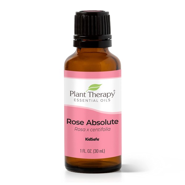Plant Therapy Rose Absolute Essential Oil 100% Pure, Undiluted, Natural Aromatherapy, Therapeutic Grade 30 mL (1 oz)
