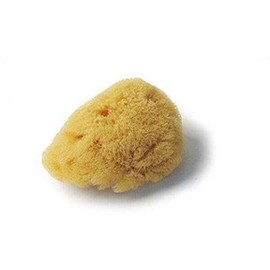 Croll and Denecke L050 Fine-Pored Natural Sponge, Levantiner from the Mittelmeer, Face Cream Size 5 cm