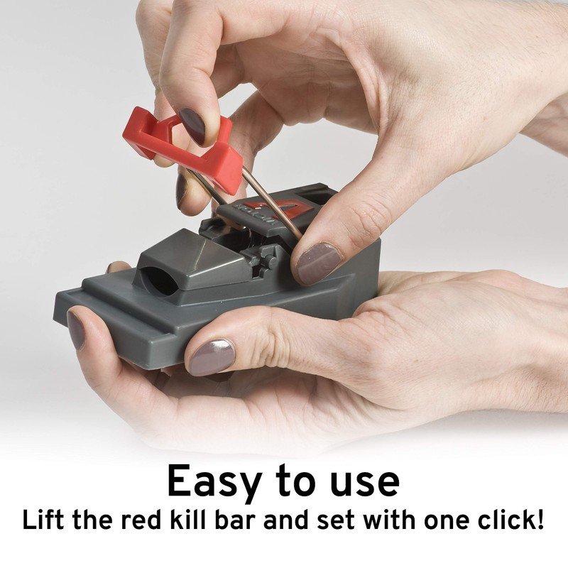 Victor M140S Quick Kill Mouse Trap, 2-Pack Easy to Set
