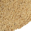 Poppy Seeds, Original Shape, Ameyoko, Otsuya Spice, Herbs, Poppy, Poppy,