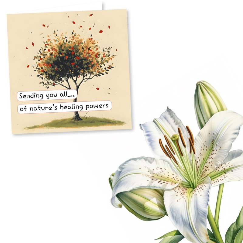 Get Well Soon Card - Sending You All Of Nature's