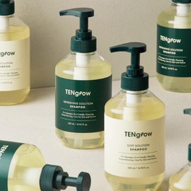 Youth Puberty Dandruff Hair Loss Premium Shampoo 500ml / 청소년 사춘기비듬 탈모 프리미엄 샴푸 500ml