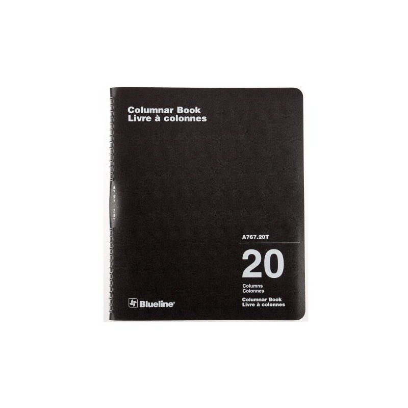 Blueline Columnar Book, Twin-Wire Binding, 20 Columns with Description, 80