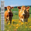 Farm Fence,5ft x 164ft Heavy Zinc Coating Galvanized Farm Fence