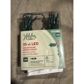 Holiday Living LED 35-Count 15.1-ft Multi-color lights Battery Timer NEW
