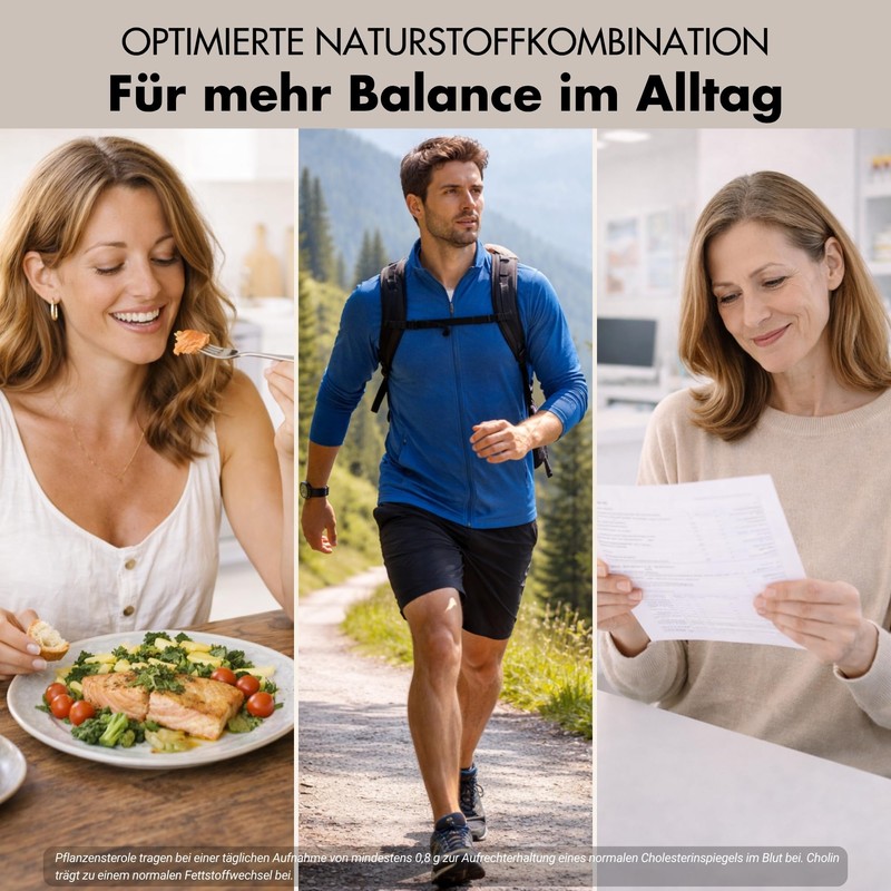 Cholesterol Complex with Plant Sterols & Choline - 180 Vegan