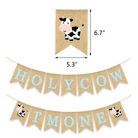 Gankbite Holy Cow I'm One Banner Farm 1st Birthday Party Decoration Barnyard Burlap Garlands Western Boy First Birthday Supplies Blue