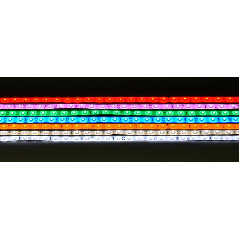Lyyt | Professional 12V LED Strip | 5m Reel |