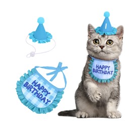 Kaket Cat Birthday Outfit, Puppy Birthday Bib, Small Dog Birthday Party Hat, Dog Birthday Bandana, Pet Birthday Accessories (Blue 2)