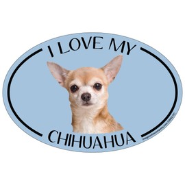 Imagine This Oval Magnet, I Love My Chihuahua