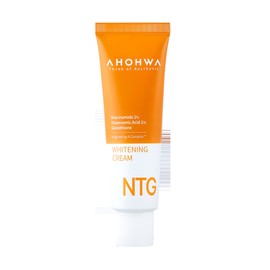Aowa NTG Whitening Cream 50ml / 아오와 NTG 화이트닝 크림 50ml