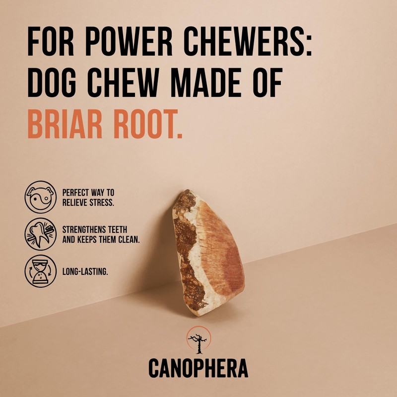 Canophera - Dog Chew Root Made of Briar Wood (Xtra