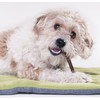 Downtown Pet Supply - Bully Sticks for Dogs - Dog