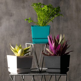 Cubiark Garden 6 Inch Square Planter Pot, with Saucer Tray and Drainage, Modern Plastic Plant Pot, Textured Finish Outdoor and Indoor, Home Decor, Gardening for Herbs, Plants & Flowers, (Green)