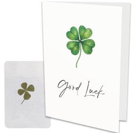 Good Luck Card with Real Pressed Four Leaf Clover – A5 Greeting Card with Genuine Lucky Charm Inside