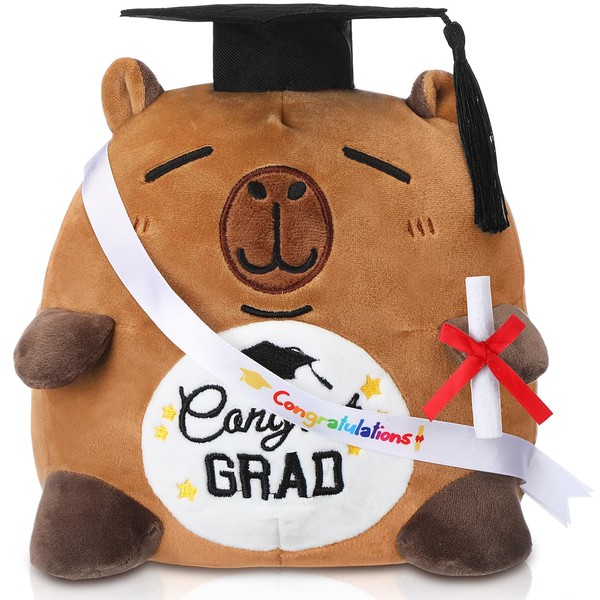 Blueweenly Graduation Bear Plush 9.84 Inch Graduation Stuffed Animal with