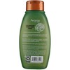 Aveeno Shampoo Fresh Greens Blend 12 Ounce (Thicken) (354ml) (2
